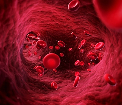 Healthy Circulation